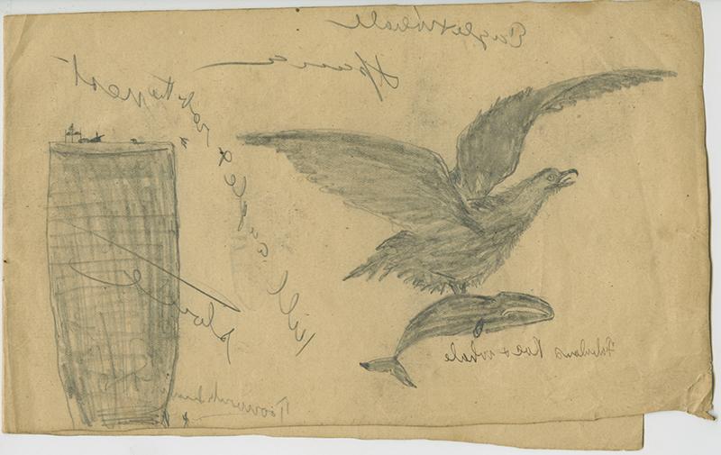 Unidentified Iñupiat Artist, Fabulous Roc and Whale, Siuġaq (Cape Prince of Wales), Alaska, 1892-1893. Graphite on paper. Museum purchase, Thornton Collection. 