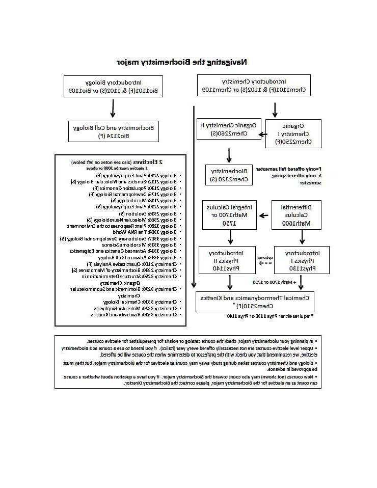 Navigating the biochemistry major flow-chart