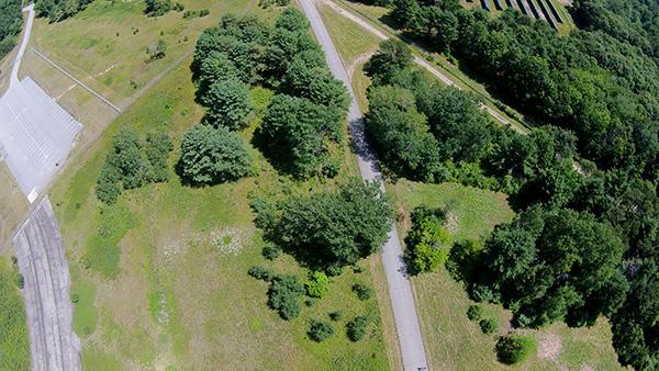 aerial photo of former naval air station-trees 