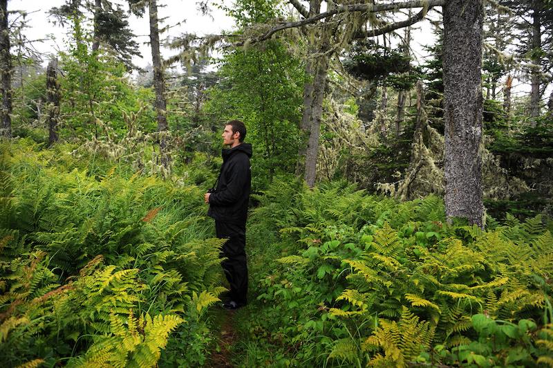 standing in the forest on Kent Island