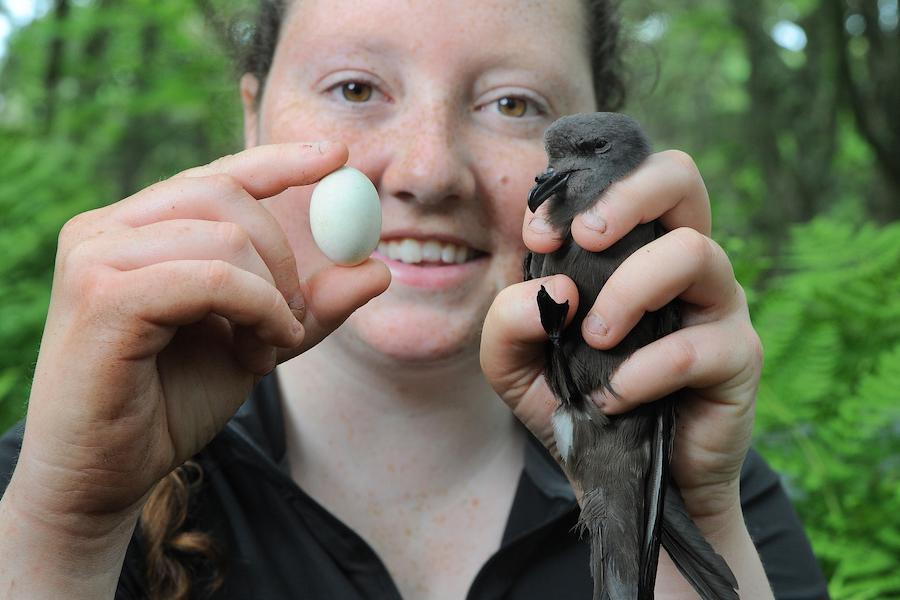 Student holding petrel and egg