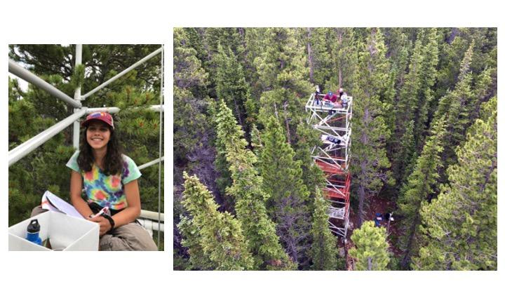 Students next to satellite tower